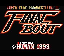 Color Fixes For Super Fire Pro Wrestling III – Final Bout (SNES) Romhack